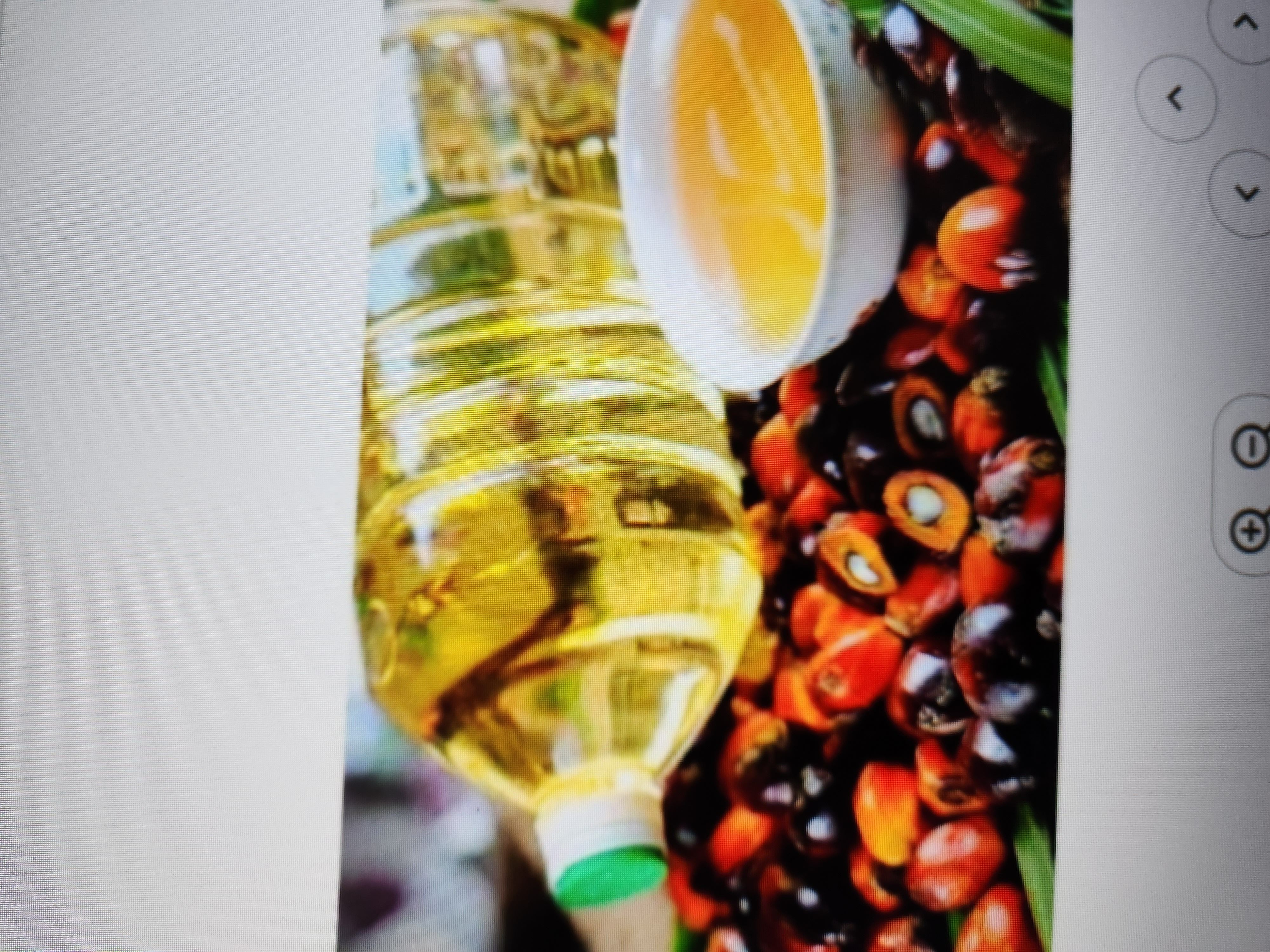 Palm kernel oil (pko)
