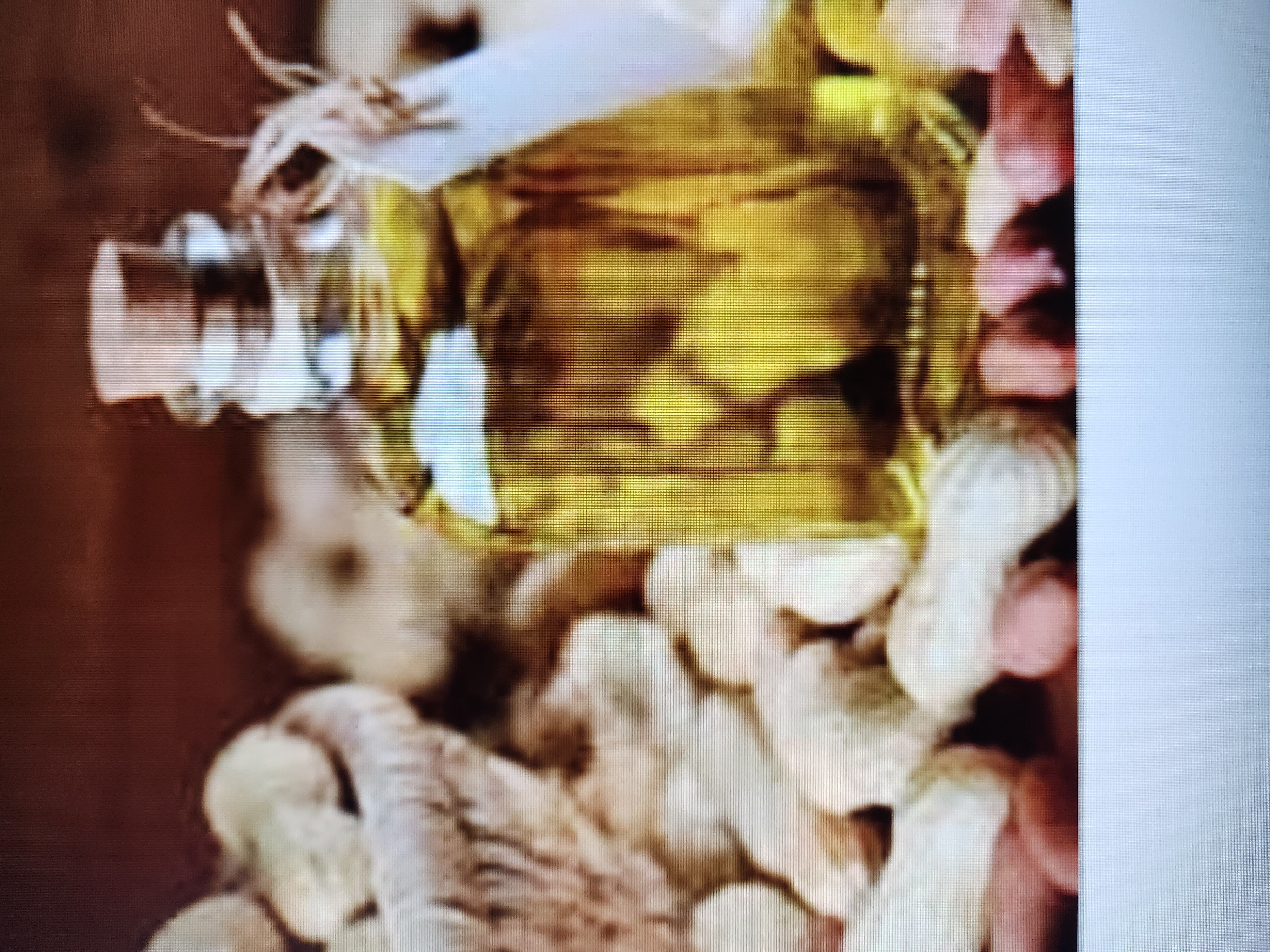 Groundnut oil
