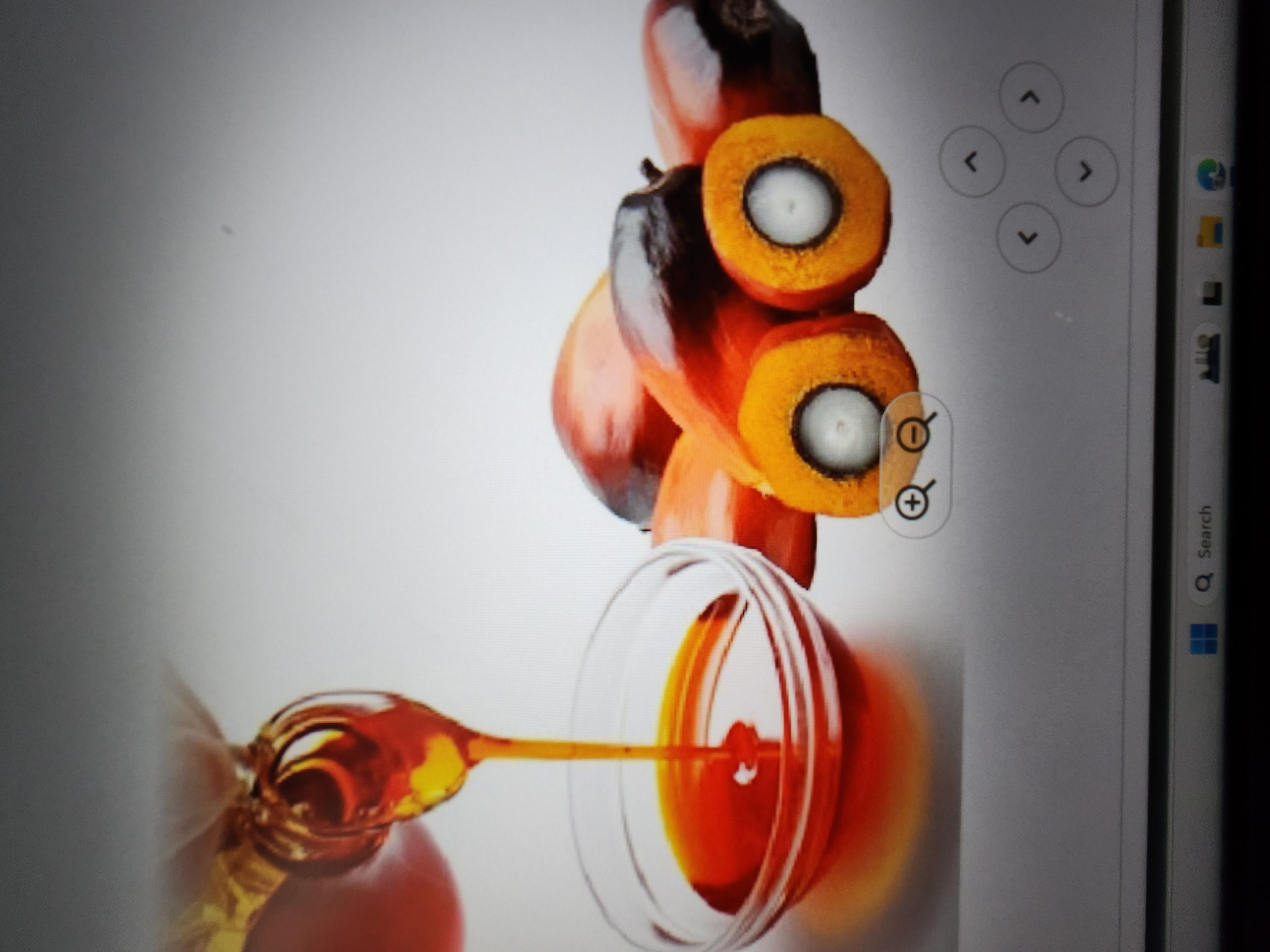 Palm oil